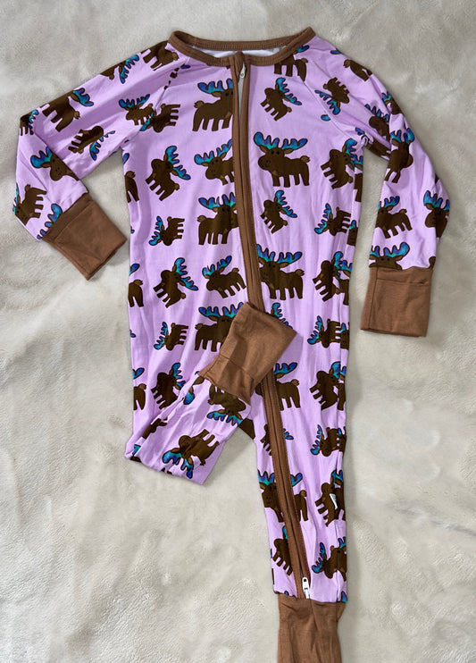 Moose - Zippy